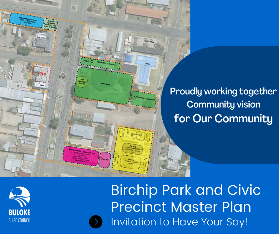 BIrchip Precinct Master plan 3